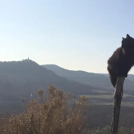 Motovun Bellevue - Amazing View, Comfortable Livade