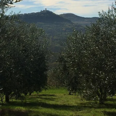 Motovun Bellevue - Amazing View, Comfortable * Livade