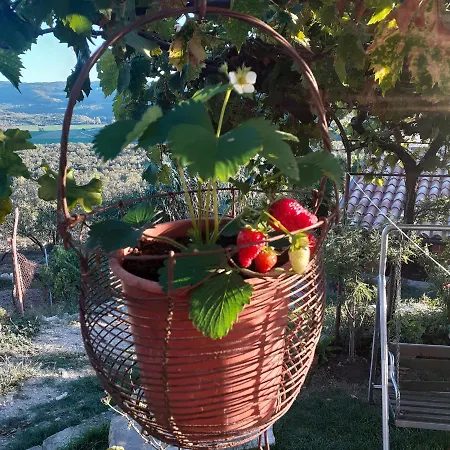 Apartman Motovun Bellevue - Amazing View, Comfortable *