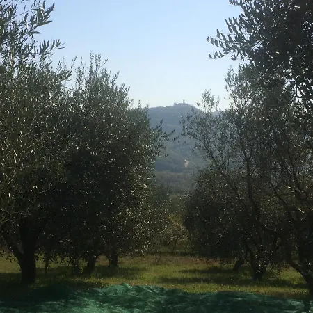 Motovun Bellevue - Amazing View, Comfortable * Livade